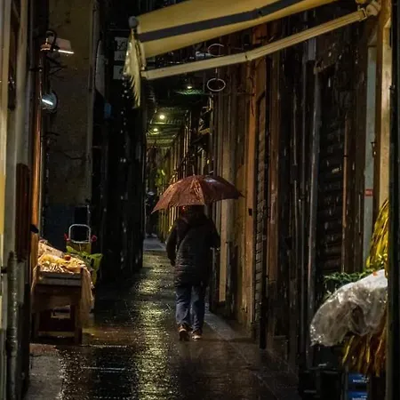 Trilocale Cecilia's Apartamento *